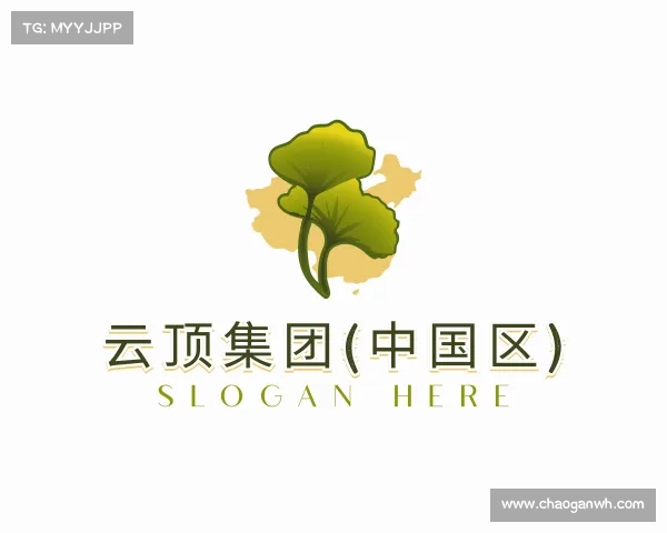 介绍云顶集团(中国区)